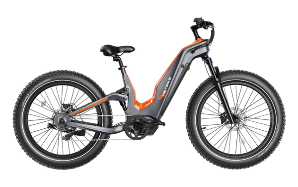 Heybike Hero Carbon Fiber E-Bike